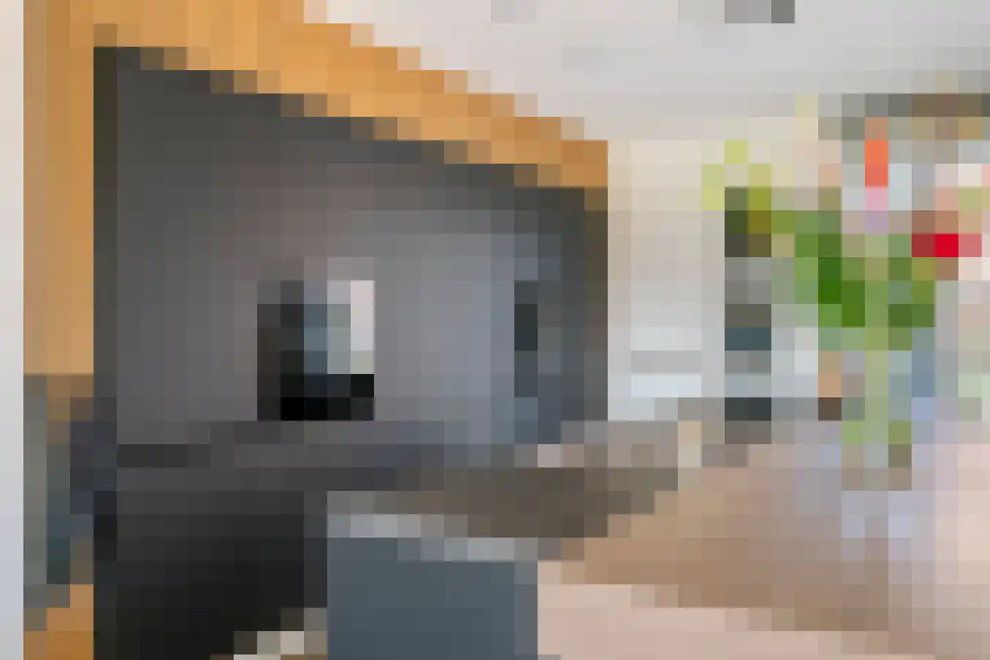 Kees van Lintstraat 18 Culemborg thumbnail 31
