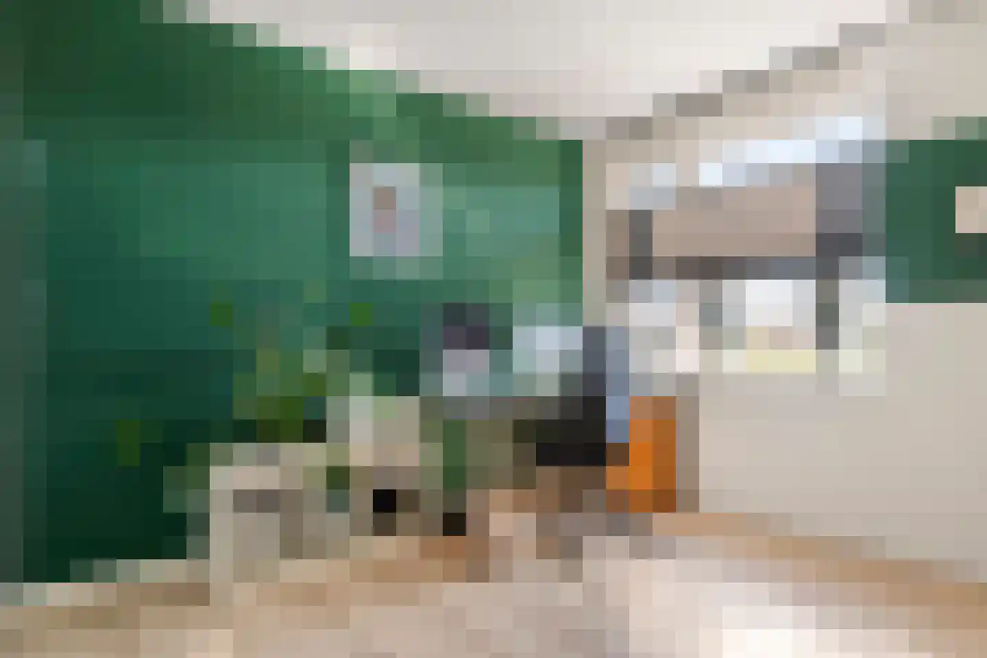 Kees van Lintstraat 18 Culemborg thumbnail 45
