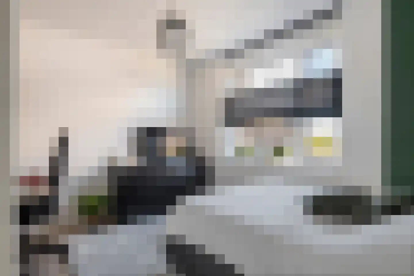 Kees van Lintstraat 18 Culemborg thumbnail 48