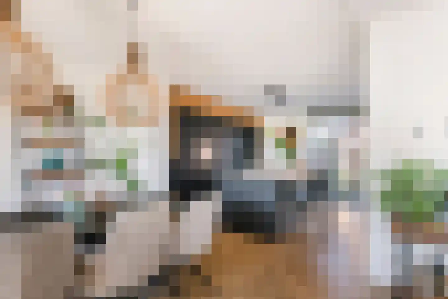Kees van Lintstraat 18 Culemborg thumbnail 6