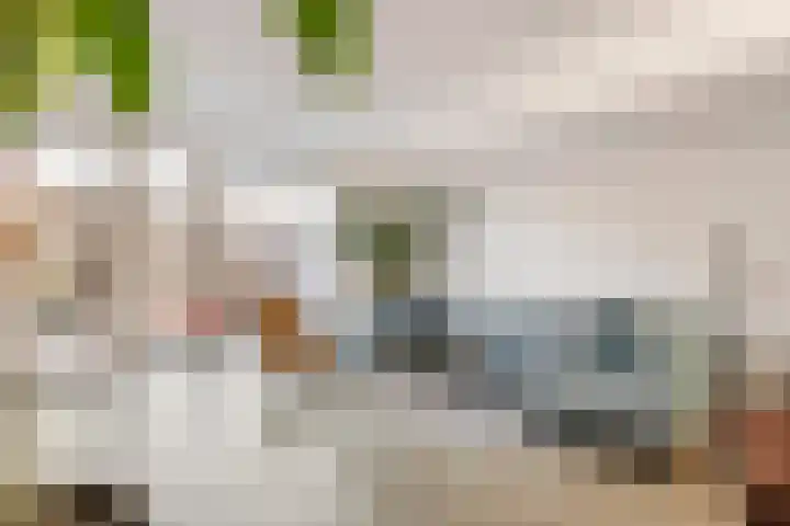 Kees van Lintstraat 41 Culemborg thumbnail 13