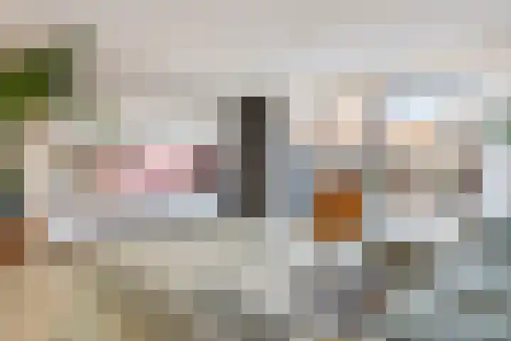 Kees van Lintstraat 41 Culemborg thumbnail 15