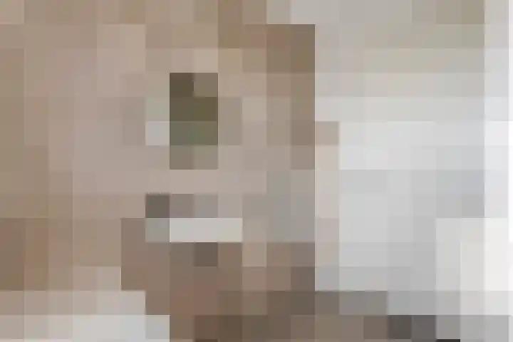 Kees van Lintstraat 41 Culemborg thumbnail 26