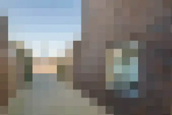 Kees van Lintstraat 41 Culemborg thumbnail 41