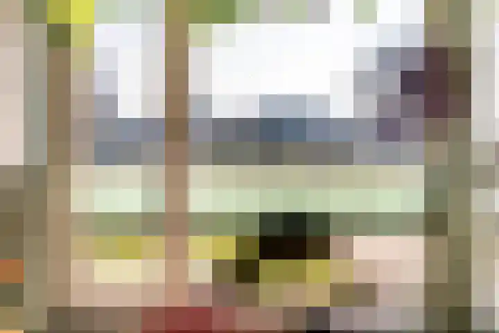 Kees van Lintstraat 41 Culemborg thumbnail 9
