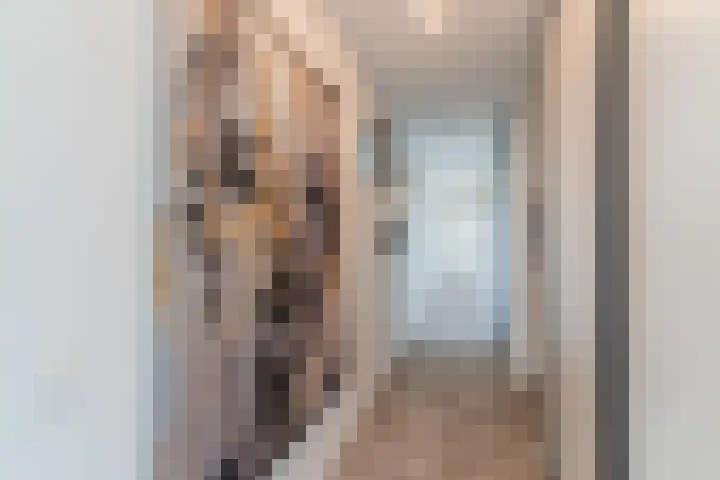 Kees van Lintstraat 9 Culemborg thumbnail 16