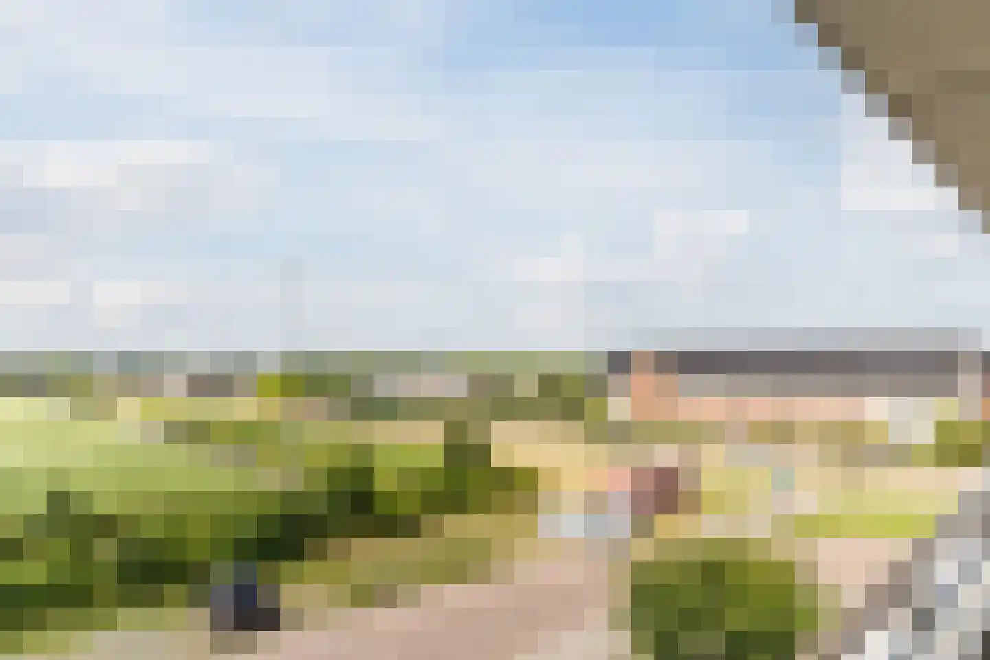 Kees van Lintstraat 9 Culemborg thumbnail 25