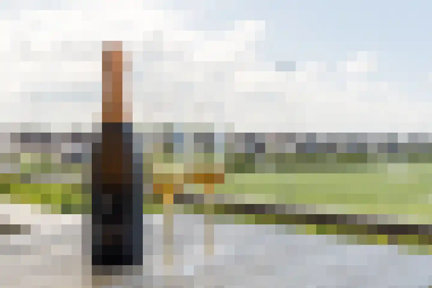 Kees van Lintstraat 9 Culemborg thumbnail 26