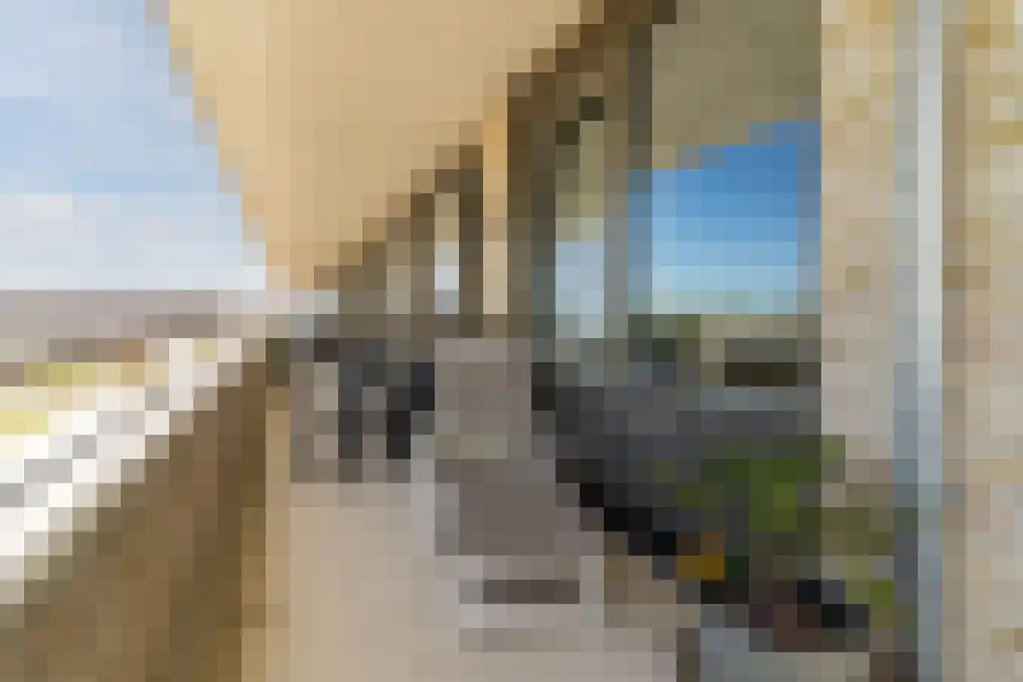 Kees van Lintstraat 9 Culemborg thumbnail 27