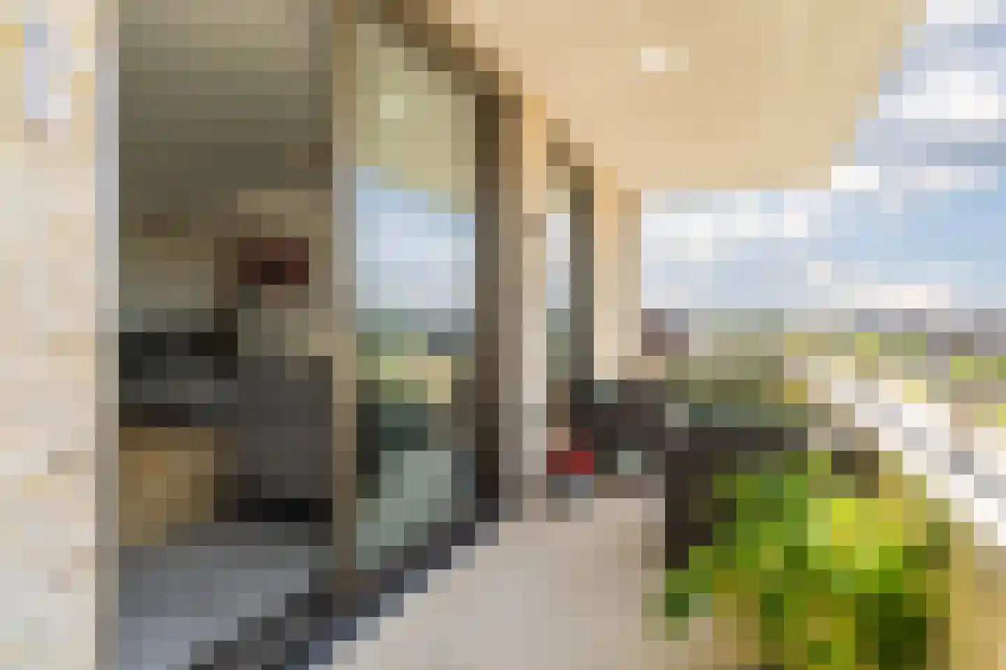Kees van Lintstraat 9 Culemborg thumbnail 28