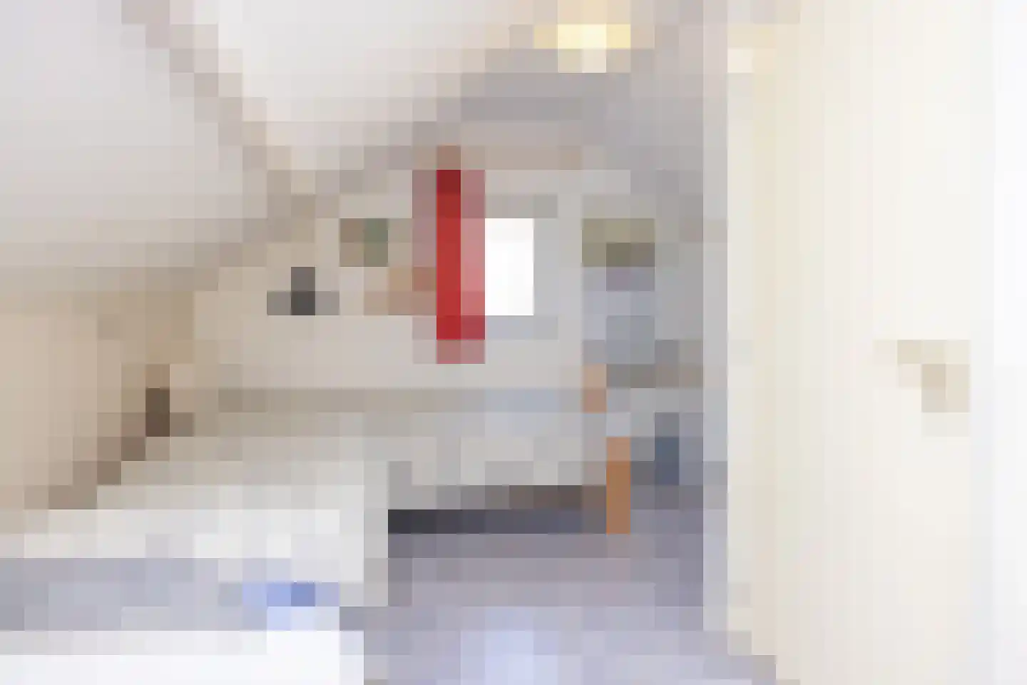 Keesomlaan 39 Den Burg thumbnail 17