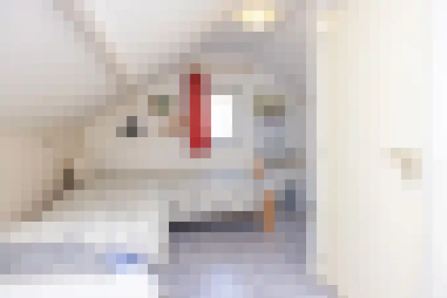 Keesomlaan 39 Den Burg thumbnail 17