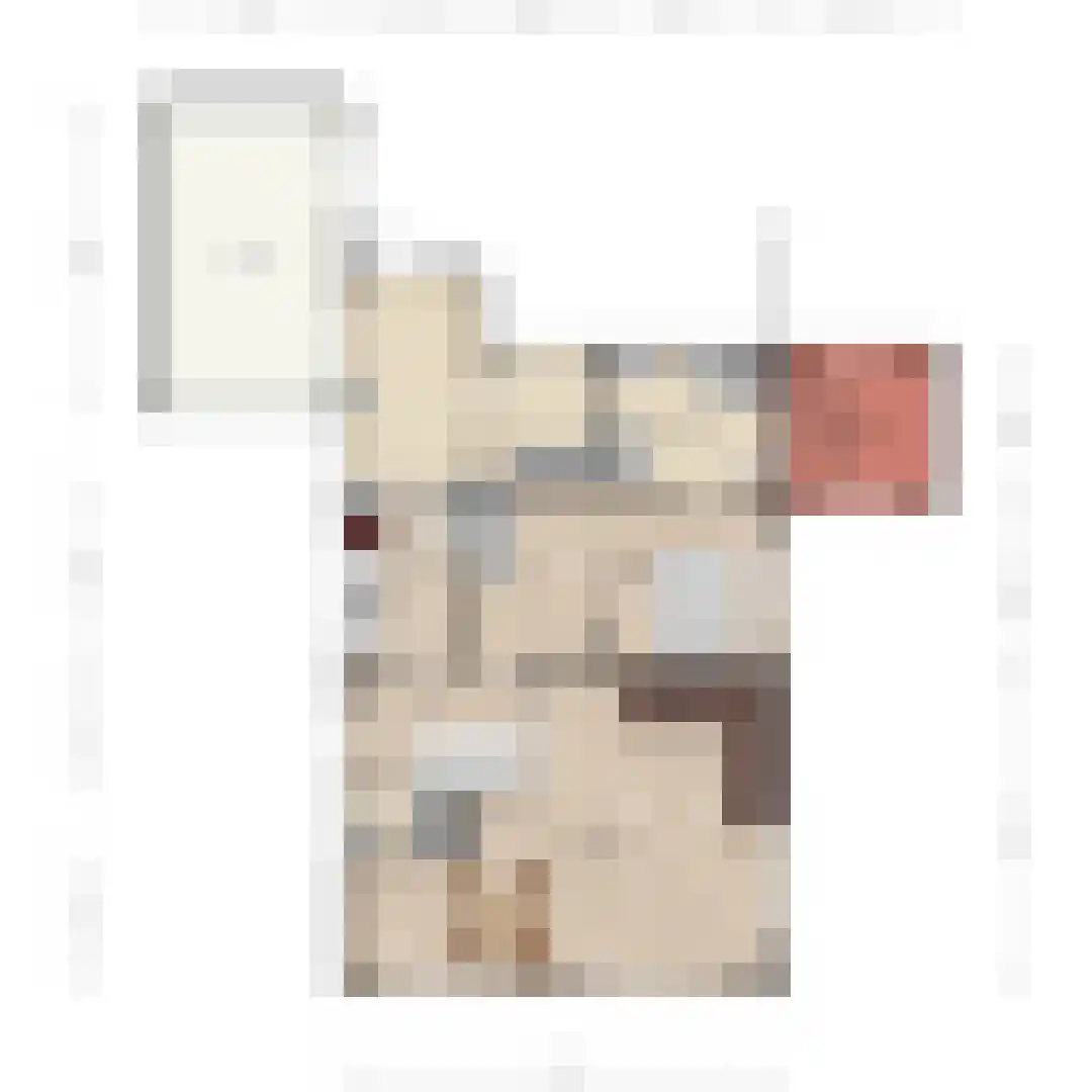Keesomlaan 39 Den Burg thumbnail 27
