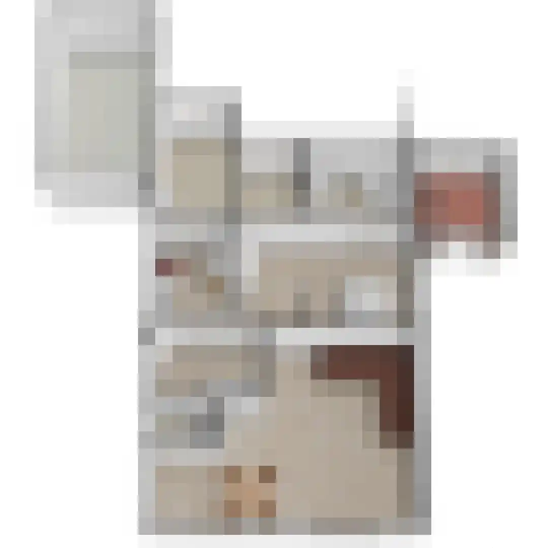 Keesomlaan 39 Den Burg thumbnail 28