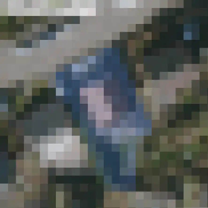 Keesomlaan 39 Den Burg thumbnail 31