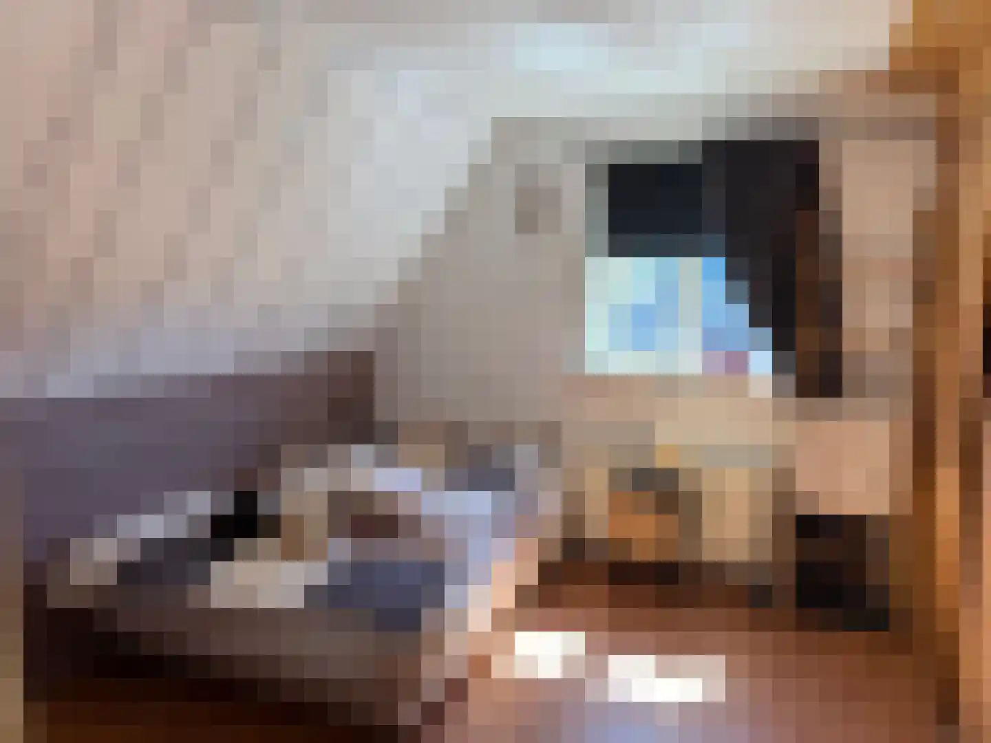 Keesomlaan 44 Den Burg thumbnail 13