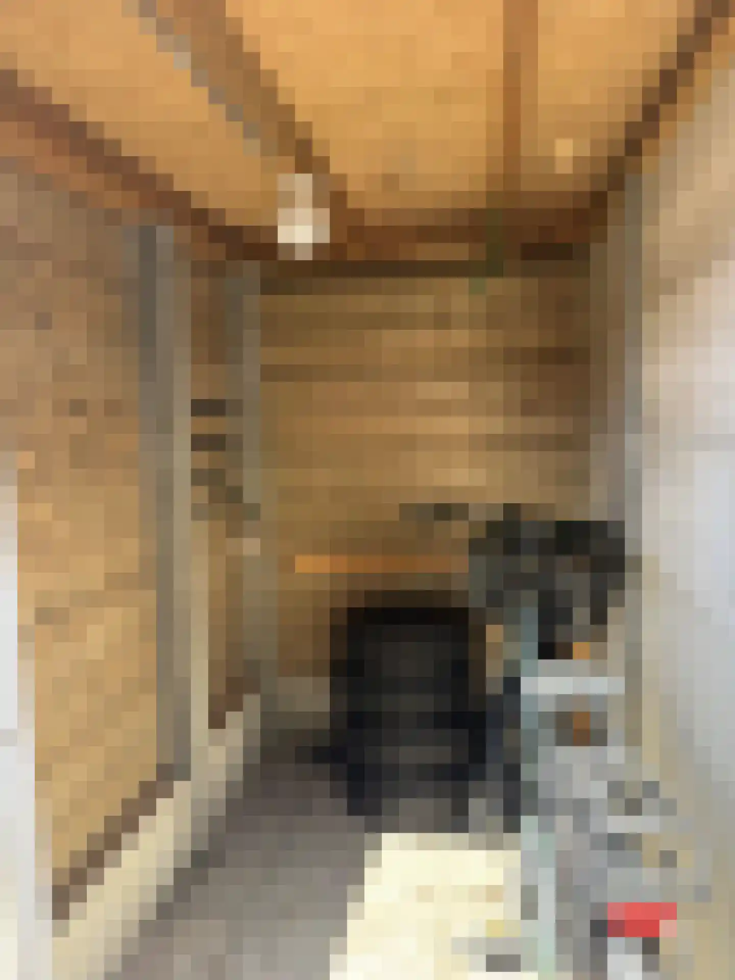 Keesomlaan 44 Den Burg thumbnail 19