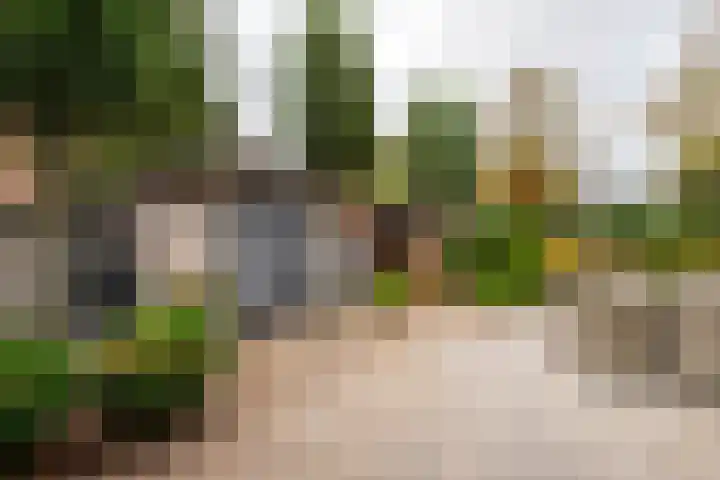 Keesomstraat 17 Hoogerheide thumbnail 39