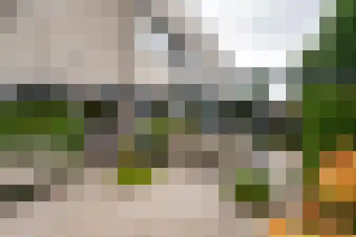 Keesomstraat 17 Hoogerheide thumbnail 42