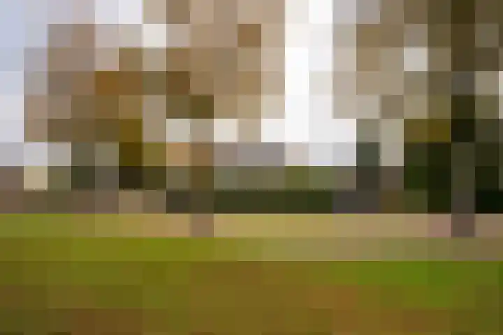 Keesomstraat 17 Hoogerheide thumbnail 50