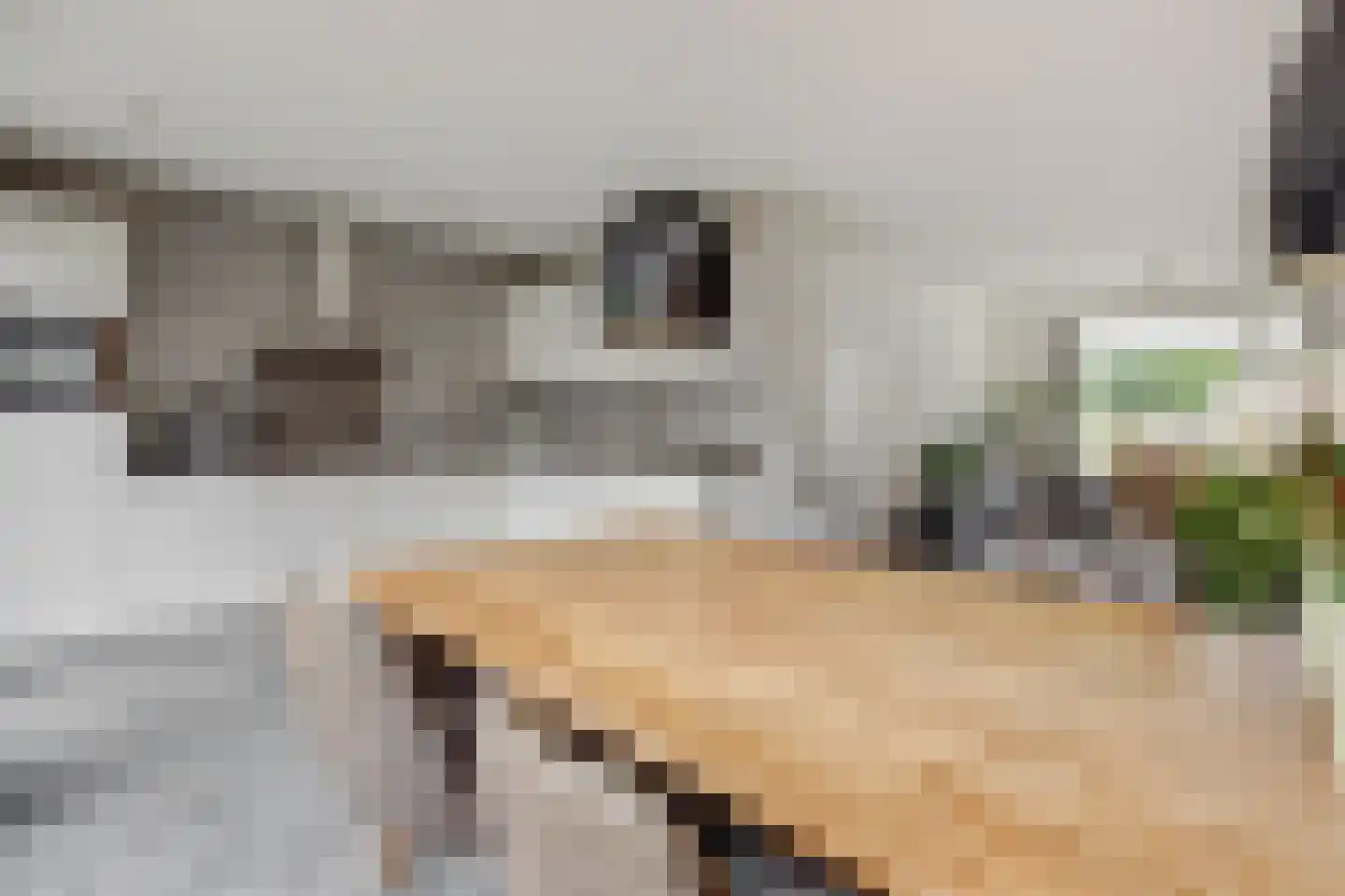 Keesomstraat 2 b Vlierden thumbnail 18