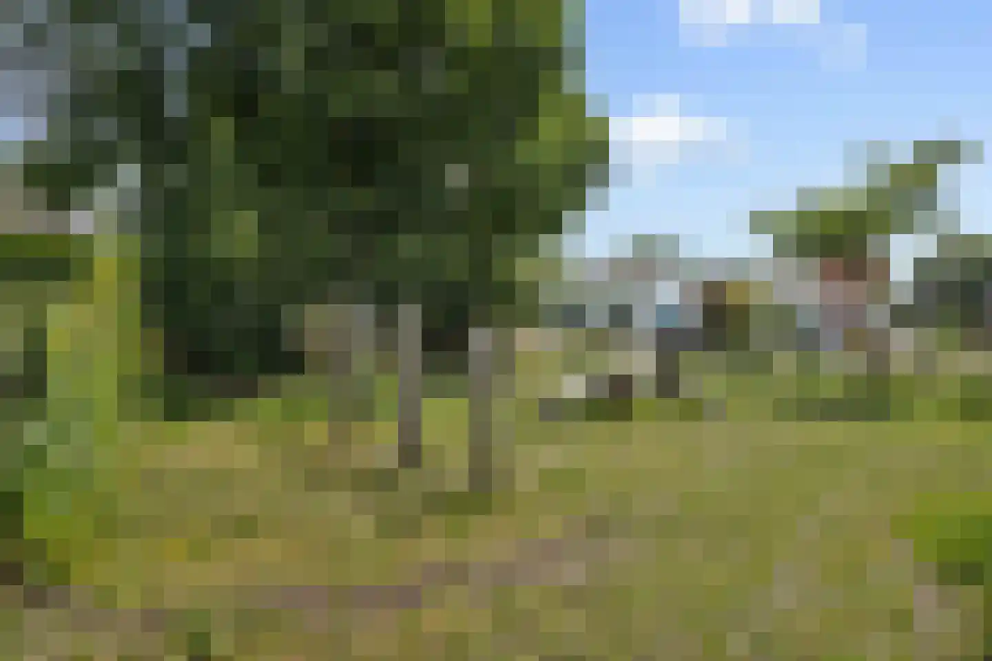 Keesomstraat 2 b Vlierden thumbnail 39