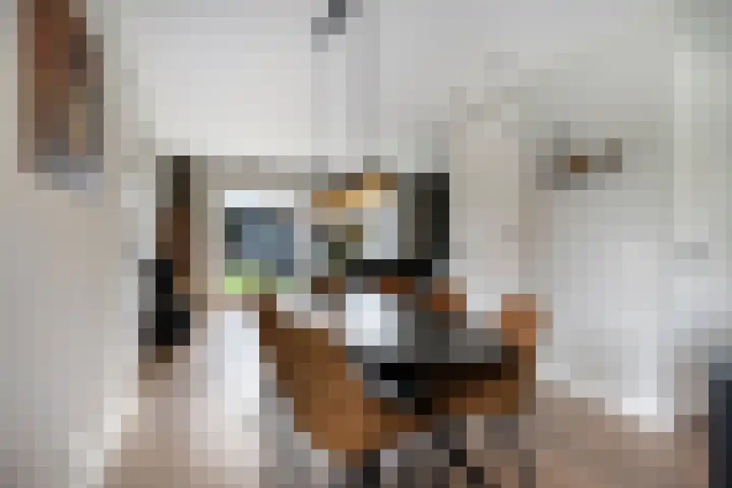 Keesomstraat 2 e Vlierden thumbnail 13