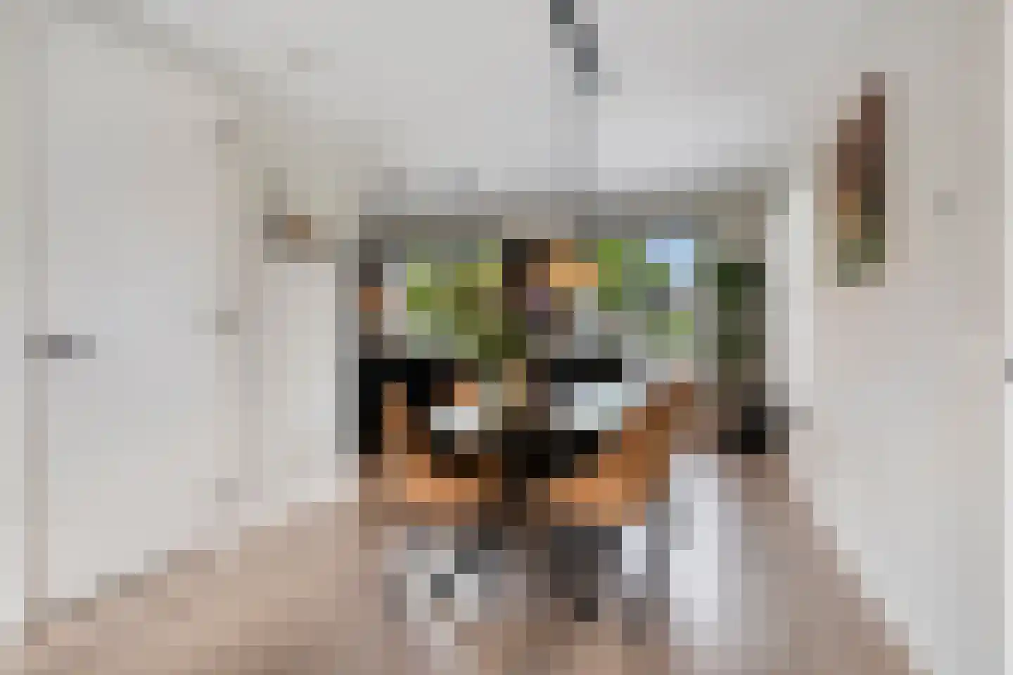 Keesomstraat 2 e Vlierden thumbnail 15