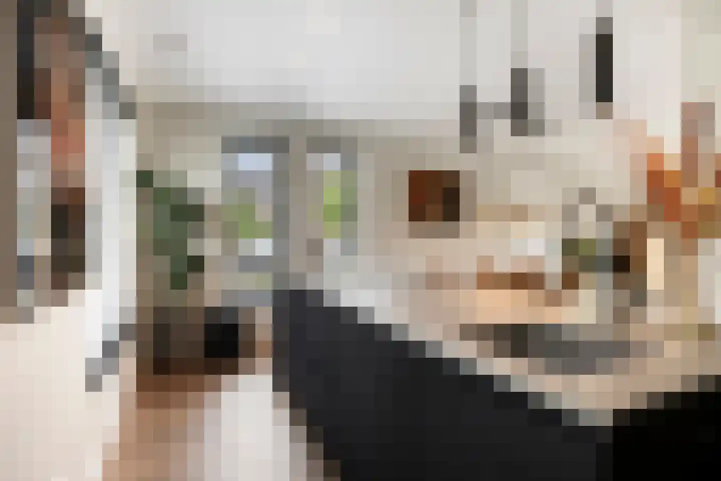 Keesomstraat 2 e Vlierden thumbnail 19
