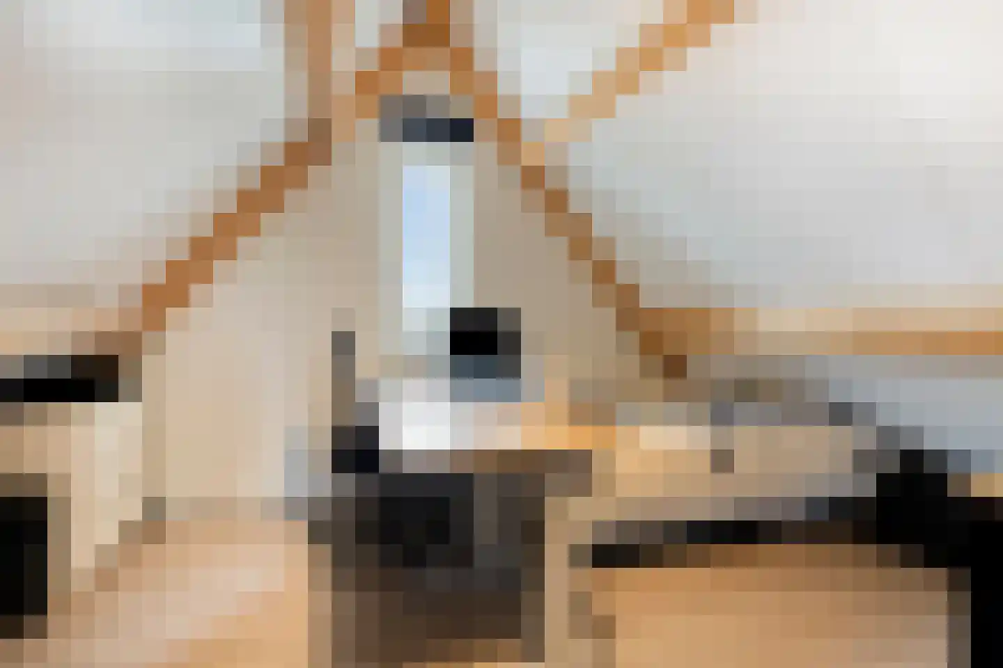 Keesomstraat 2 e Vlierden thumbnail 36