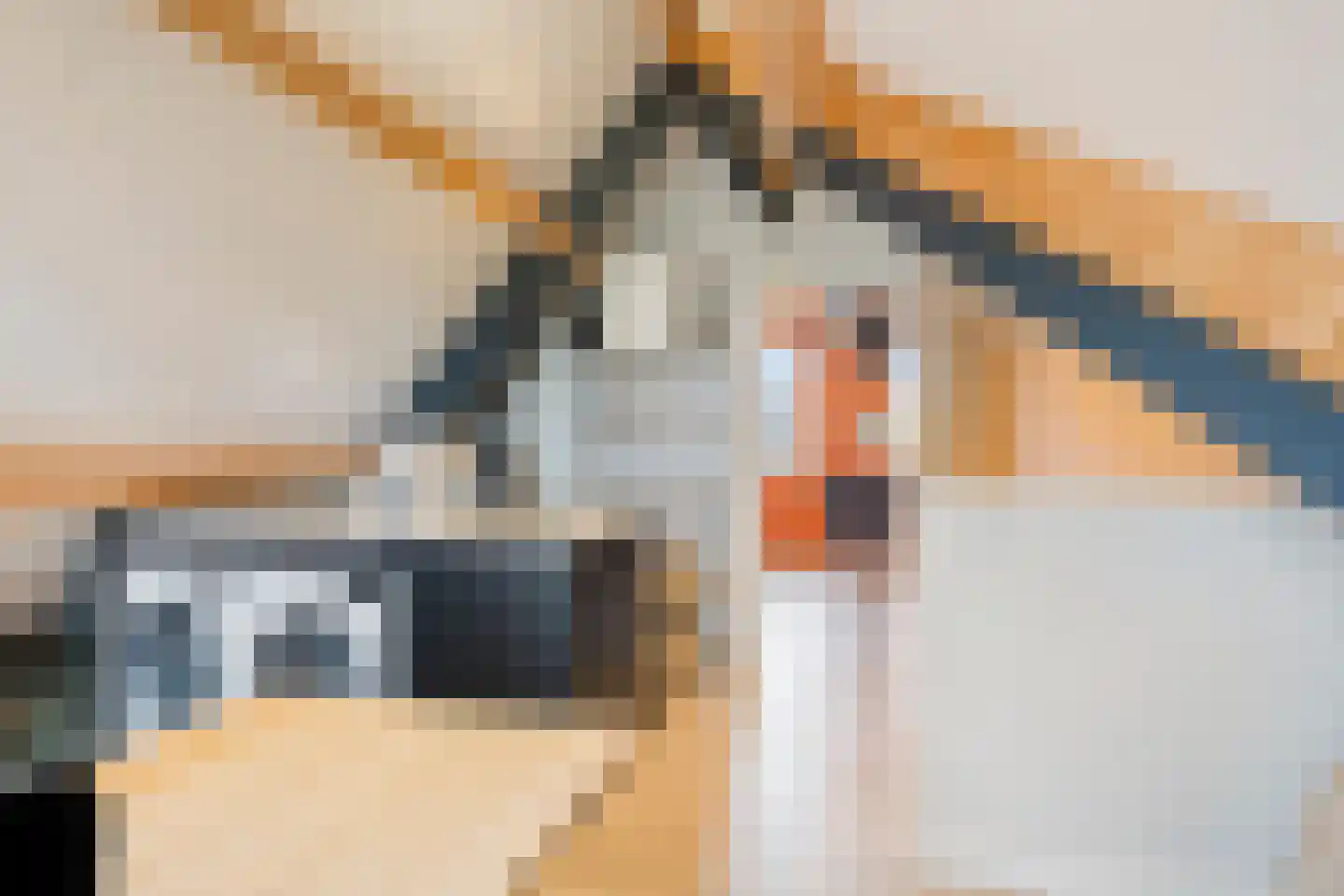 Keesomstraat 2 e Vlierden thumbnail 38