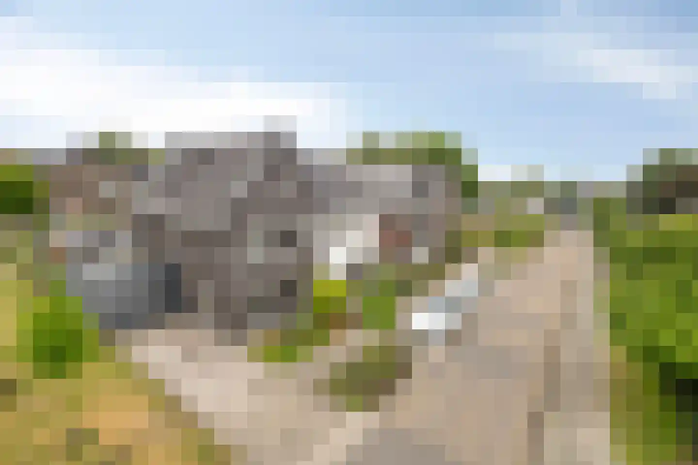 Keesomstraat 2 e Vlierden thumbnail 49