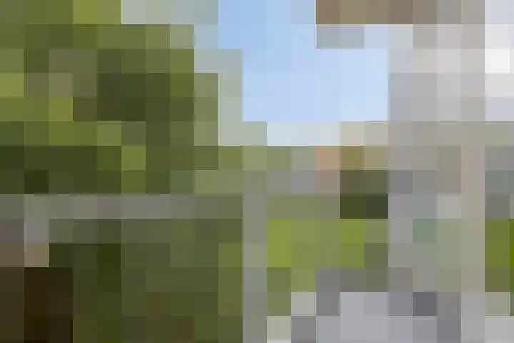 Keesomstraat 60 Vlaardingen thumbnail 18