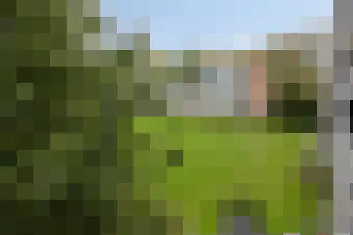 Keesomstraat 60 Vlaardingen thumbnail 19