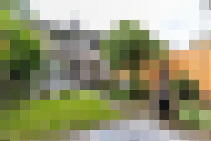 Keesomweg 16 Haren Gn thumbnail 4