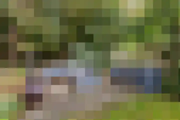 Keesomweg 16 Haren Gn thumbnail 41