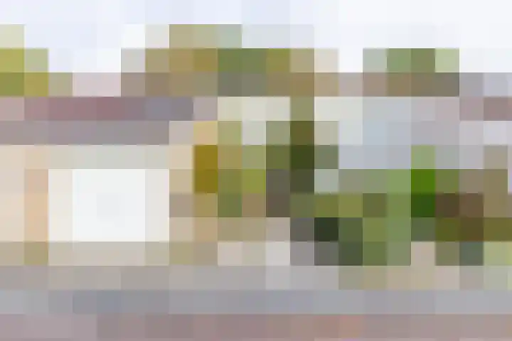 Keesomweg 16 Haren Gn thumbnail 5