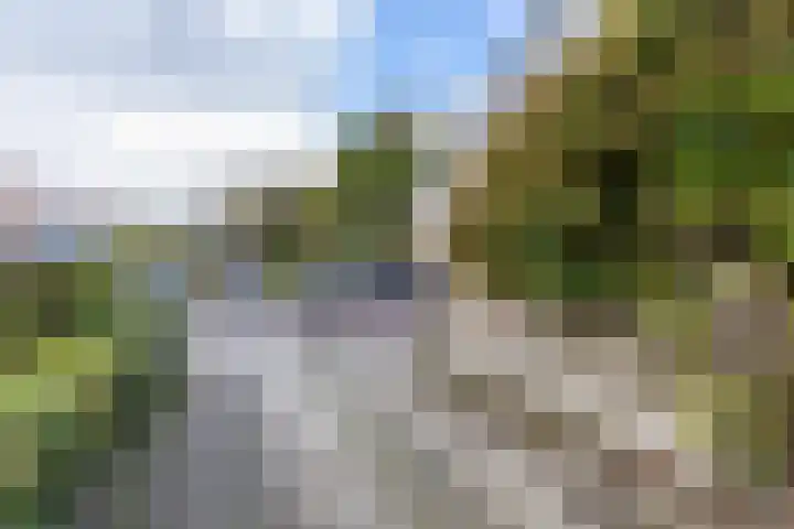 Keesomweg 16 Haren Gn thumbnail 8