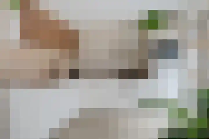 Keestrastraat 3 Heerenveen thumbnail 10