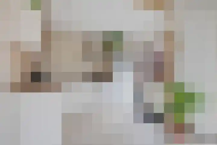 Keestrastraat 3 Heerenveen thumbnail 11