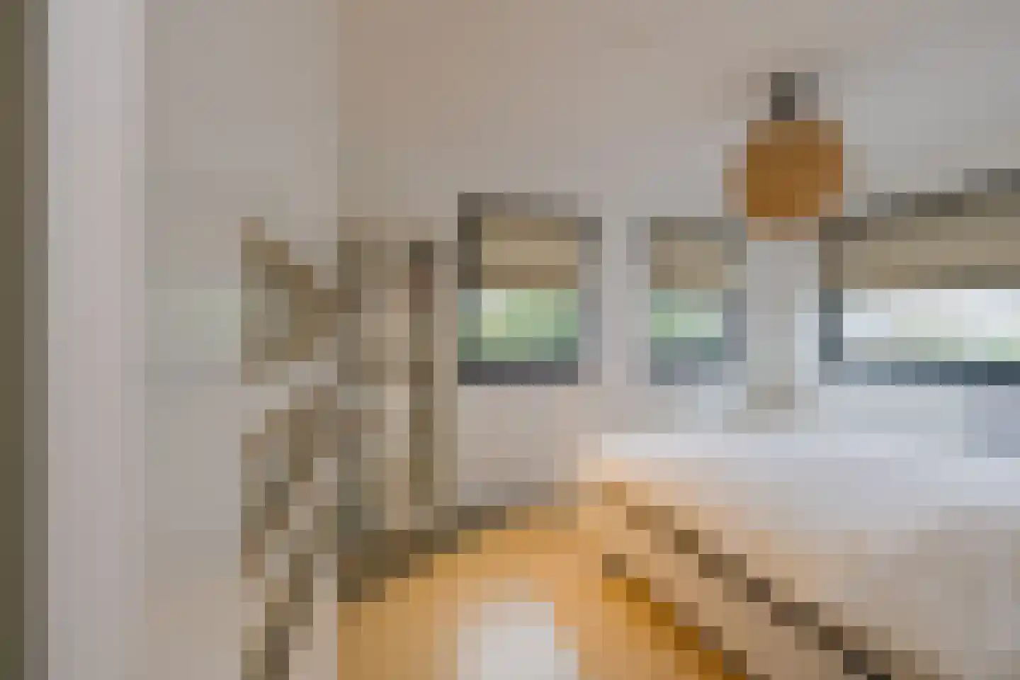 Keetberglaan 309 IJmuiden thumbnail 32