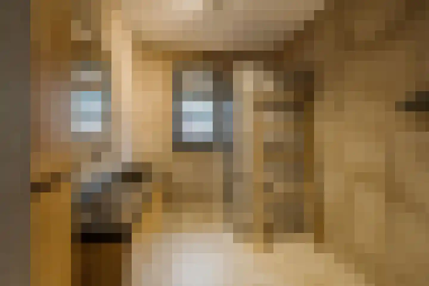 Keetberglaan 309 IJmuiden thumbnail 35