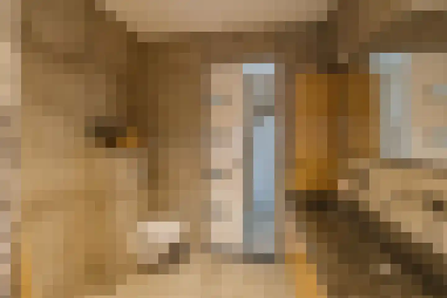 Keetberglaan 309 IJmuiden thumbnail 36