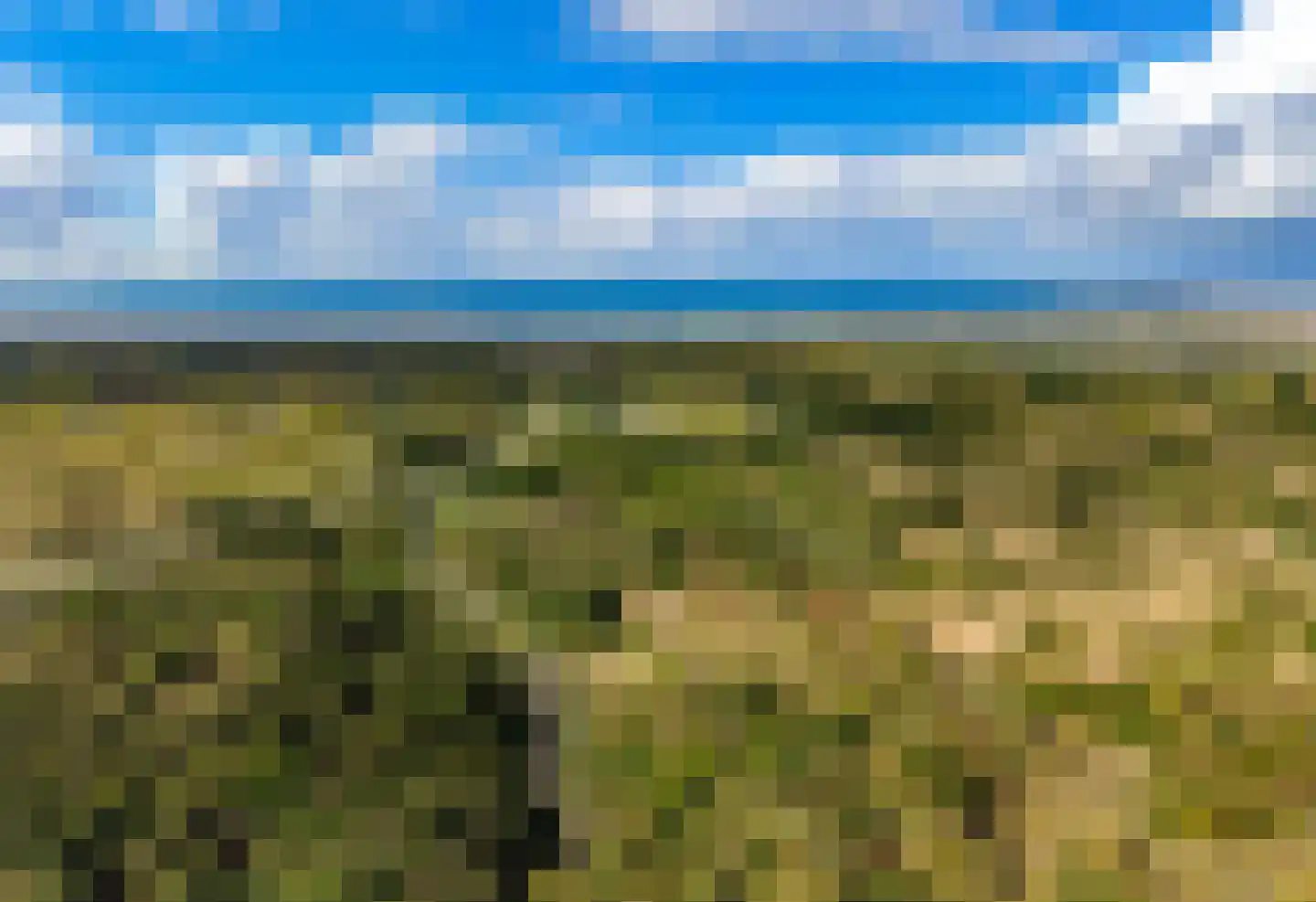 Keetberglaan 309 IJmuiden thumbnail 62