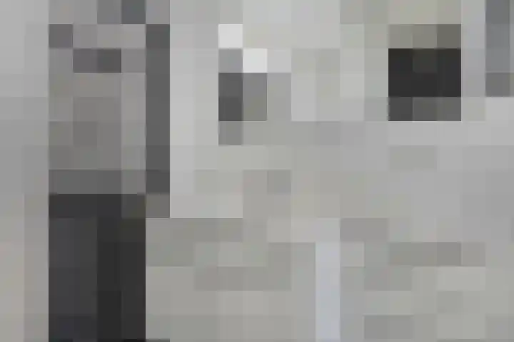 Keeten 7 Hansweert thumbnail 27