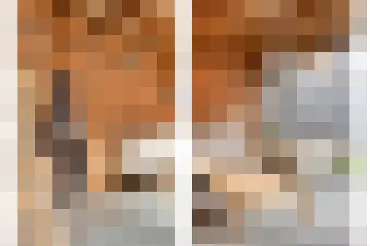 Keeten 7 Hansweert thumbnail 39