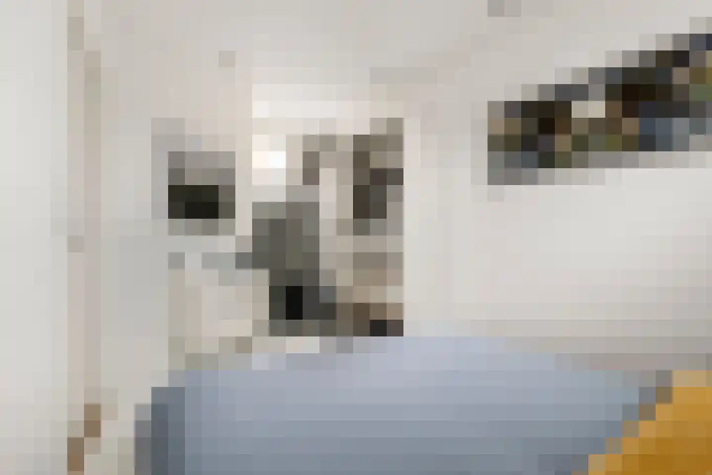 Keetgracht 16 Alkmaar thumbnail 18