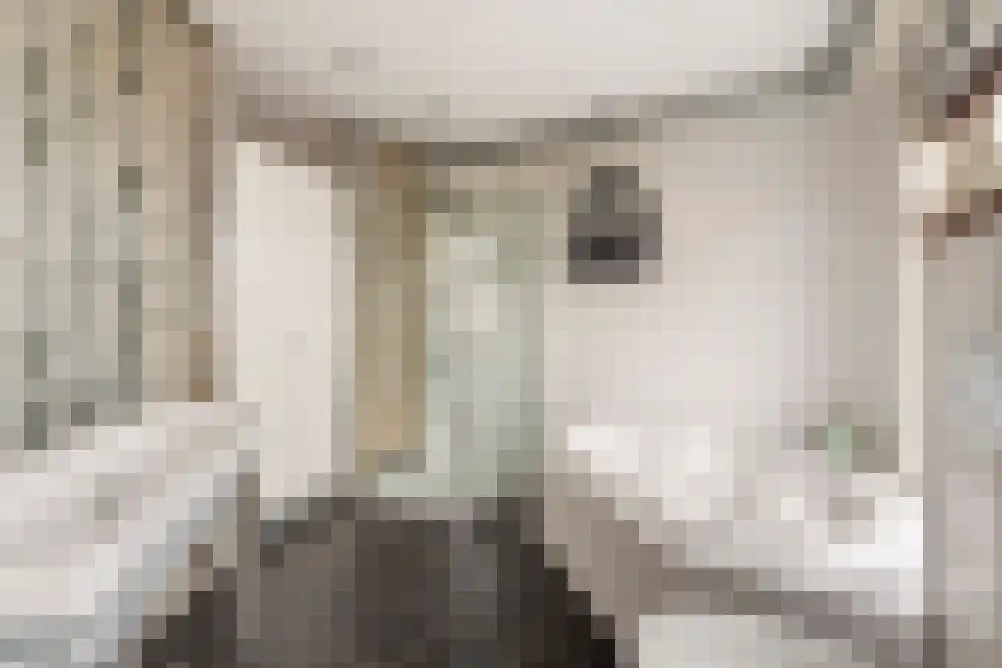 Keetgracht 16 Alkmaar thumbnail 27