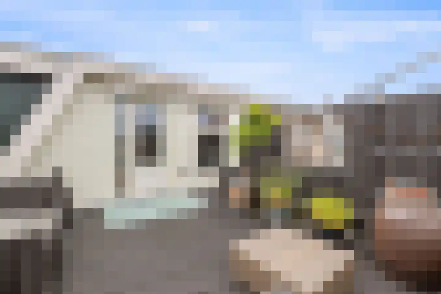 Keetgracht 16 Alkmaar thumbnail 36