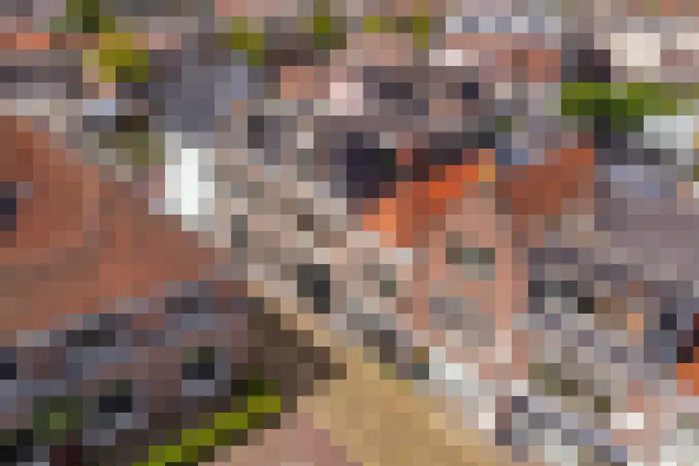 Keetgracht 16 Alkmaar thumbnail 42